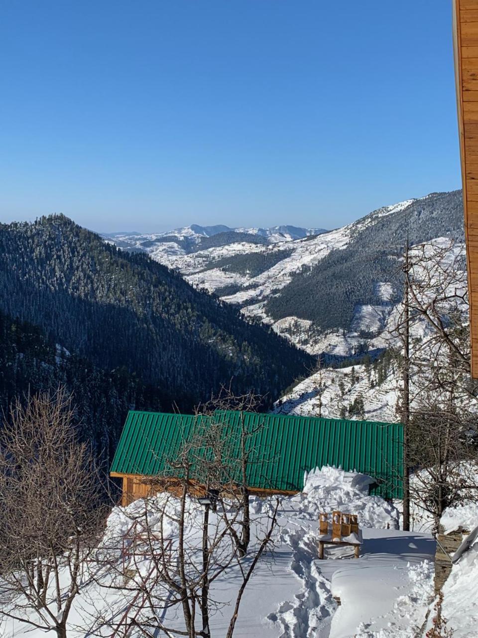 Elivaas 1 Bhk Premium Cottage With Sauna - Everly Shimla Exterior foto